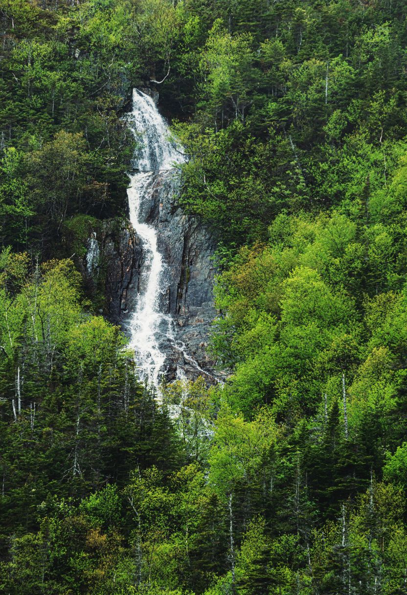 Choosing the Right Locations for Wilderness Paddling